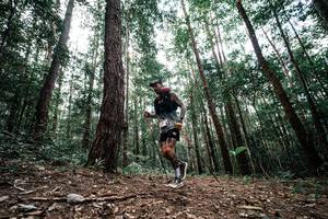 BIB: 
                            <button type="button" onclick="openModal(25261181)" class="btn btn-primary btn-sm float-right btn-popup" data-toggle="modal" data-target=".modal-high-quality">
                        <i class="fas fa-shopping-cart"></i> Add to Cart
                    </button>
                                            <button type="button" onclick="isThisMe(25261181, true)" class="btn btn-success btn-sm float-right btn-popup btn-isme hidden" data-toggle="tooltip" data-placement="bottom" title="นี่คือรูปของคุณใช่ไหม คลิกที่นี่เพื่อเอาเข้าอัลบั้ม">
                        <i class="fas fa-plus"></i> Add to album
                    </button>
                    <button type="button" onclick="isThisMe(25261181, false)" class="btn btn-warning btn-sm float-right btn-popup btn-isnotme hidden">
                        <i class="fas fa-ban"></i> Remove from album
                    </button>